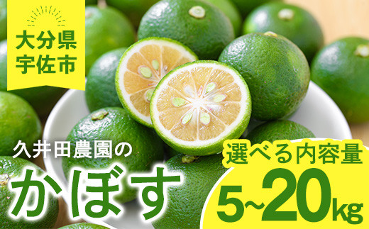 
            ＜内容量が選べる！＞かぼす(5kg～20kg)柑橘 かんきつ 大分県産直【112600100・112600200・112600300・112600400】【ａｎｄＫ】
          