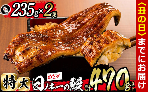 【丑の日までに配送】日ノ本一の鰻の蒲焼き＜特大＞2尾セット(計470g以上) b3-010-us