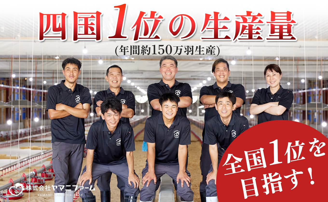 若鶏 もも角切り 1.5kg (300g×5P) よさこい尾鶏｜鶏もも もも肉 鶏肉 国産 ブランド鶏 銘柄鶏 高知県産 照り焼き 親子丼 唐揚げ 個包装 真空 冷凍 骨なし 時短 弁当 常備 小分け