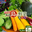 【ふるさと納税】【6回定期便】石垣島産 野菜BOX ≪定番・旬の野菜 6~8種類≫（1箱×6回）季節の野菜パワーをあなたに！！｜野菜セット おまかせセット 旬 季節のお野菜 旬の野菜セット 詰め合わせ 定期便 6回 定番野菜 島野菜 沖縄県 石垣市 石垣島 石垣 CK-3