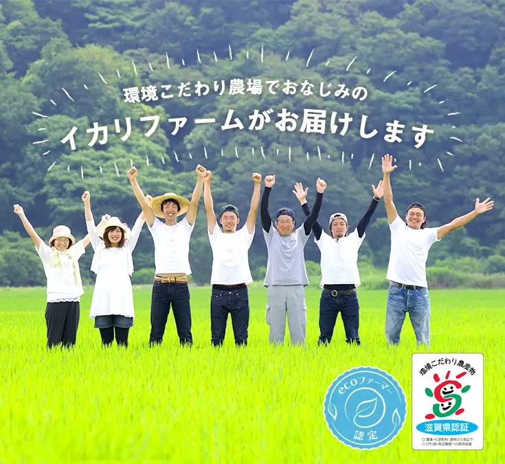 【新米】令和8年産　冷めても美味しいあっさりとした味わい「みずかがみ」白米【10kg（5kg×2袋）】【C015W2】近江米