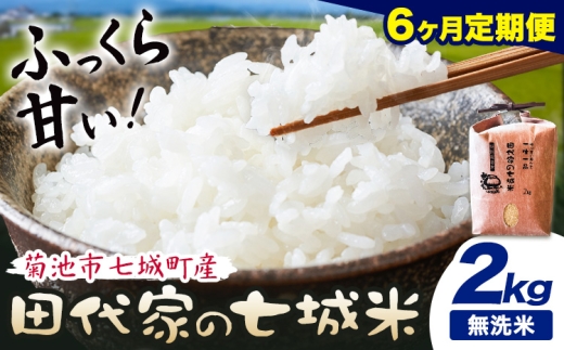 【6ヶ月定期便 】令和7年産 菊池市七城町産 田代家の七城米 七城ヒノヒカリ 無洗米 2kg 田代こめや《お申込み翌月から出荷》熊本県 菊池市 米 お米 精米 ひのひかり 菊池市産 熊本県産 九州産 送料無料