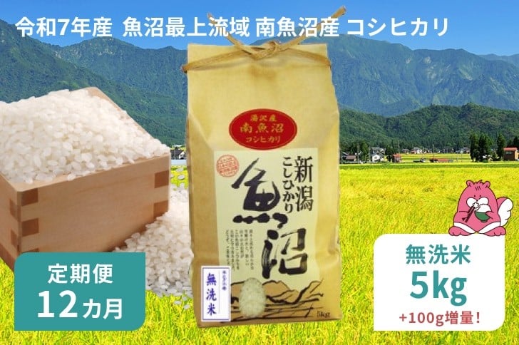 
            令和7年産 5kg 【12か月定期便】〈無洗米〉 魚沼最上流域 南魚沼産 コシヒカリ 精米したてのお米をお届け 【湯沢産 コシヒカリ】
          