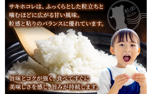 米《定期便3ヶ月》サキホコレ【無洗米】 米どころ秋田県産 令和8年産 精米 5kg（5kg×1袋） [特A 米 お米こめ 無洗米 精米 サキホコレ ブランド米 小分け ご飯 ごはん 米どころ 秋田県産