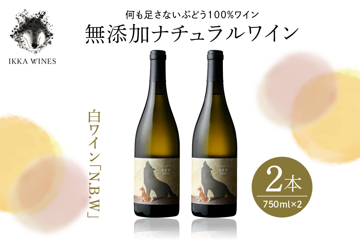 
無添加ナチュラルワイン　白ワイン「2022N・B・W」2本セット　hi004-hi025-014

