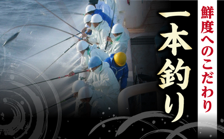 【12回定期便】鰹塩たたきセット 6~8名分 / 鰹 たたき 鰹たたき 鰹のたたき 鰹 たたき 鰹たたき 鰹のたたき[ATAD052]
