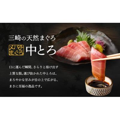 ふるさと納税 三浦市 ワンランク上の天然目鉢鮪中とろ・赤身セット　750g |  | 02