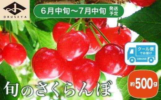 旬のさくらんぼ 約500g［小布施屋］ 佐藤錦、紅秀峰、紅佐藤、紅香、サミット など くだもの 果物 サクランボ バラ詰め 令和8年産 【2026年6月中旬～7月中旬発送】[A-1]