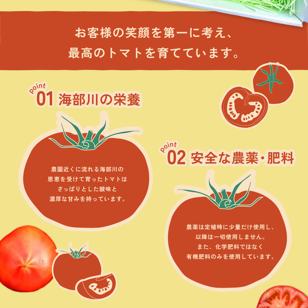フルーツトマト「海部川のしずく」約1.2kg トマト とまと tomato