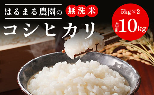 【令和6年産新米】京都丹波福知山産 はるまる農園のコシヒカリ 無洗米 5kg×2 合計10kg ／9月中発送可 ふるさと納税 精米 無洗米 米 こめ ご飯 ごはん 白米 コシヒカリ こしひかり 特別栽培米 FCCN007