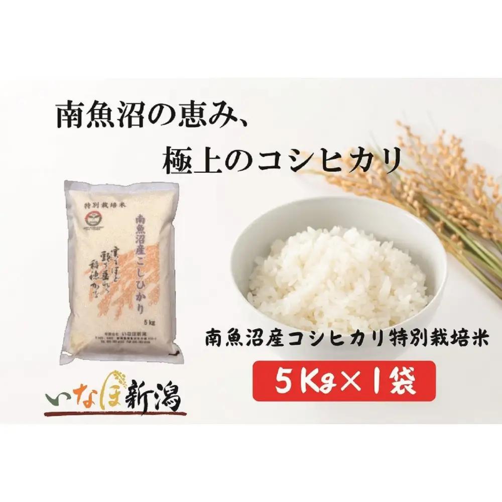 令和7年 南魚沼産コシヒカリ特別栽培米 白米 5kg | コシヒカリ