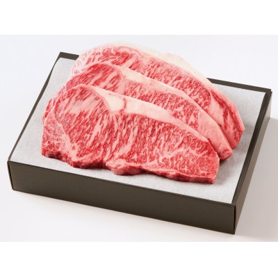 くまもとあか牛 サーロインステーキ 約500g(250g×2)(宇城市)【配送不可地域：離島】【1741932】