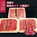 【ふるさと納税】飛騨牛 焼肉 セット 三種盛り 1.5kg バーベキュー キャンプ【おうちBBQ】お届け：入金確認から2週間以内に順次発送 66-001