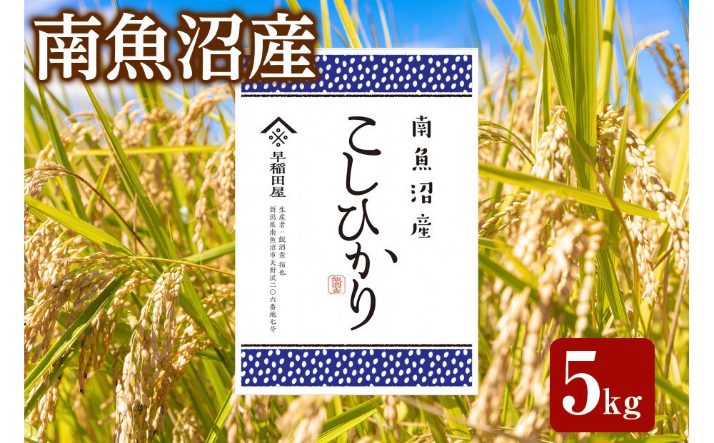 
                  【ふるさと納税】【令和8年産新米予約】特別栽培米　南魚沼産コシヒカリ 5kg　塩沢産コシヒカリ【銘柄米 精米 こしひかり コシヒカリ 魚沼産 新潟米 お米 米 こめ】【2026年10月中旬より1ヵ月以内に順次発送予定】
                
