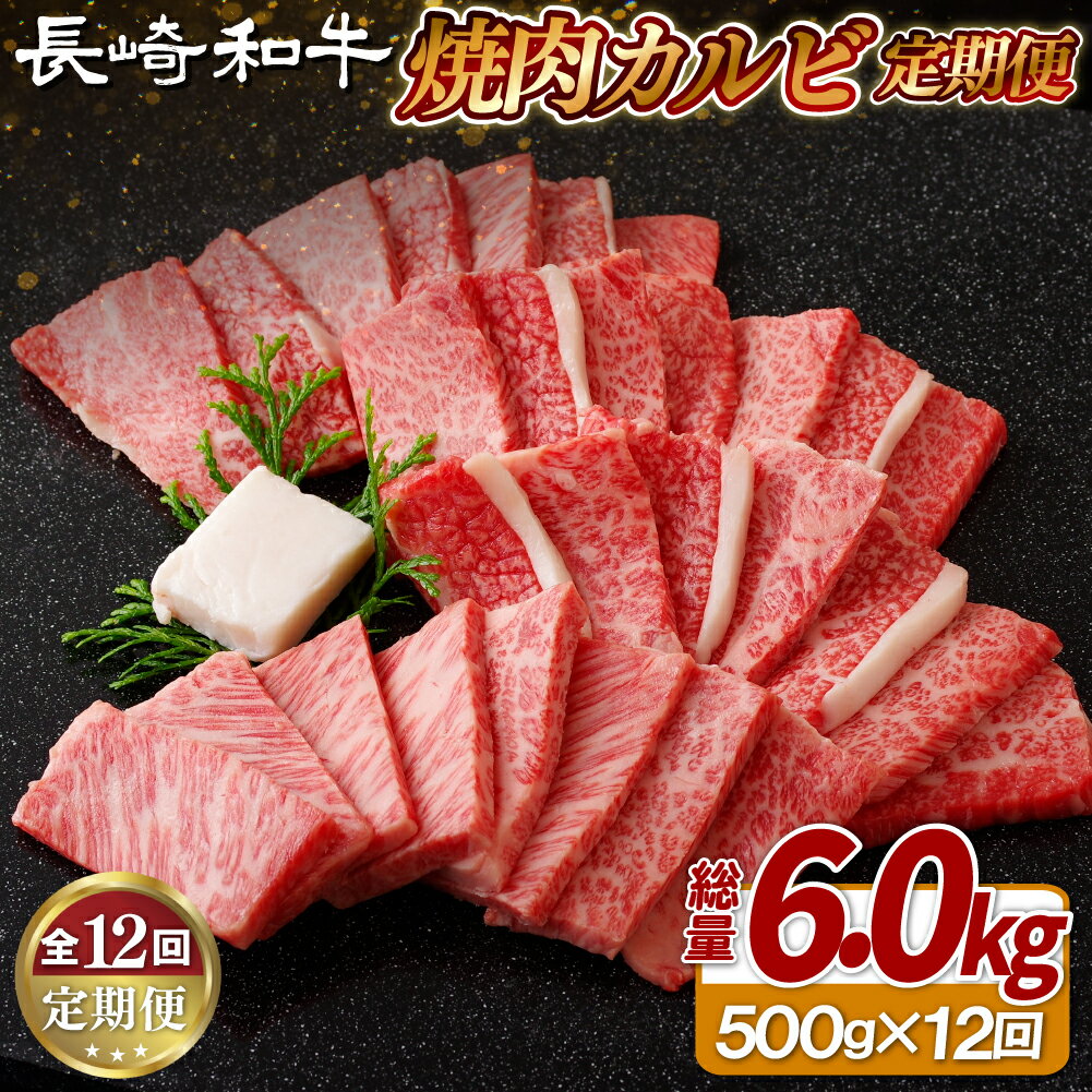 【ふるさと納税】《定期便》長崎和牛焼肉カルビ(500g)【12回お届け】
