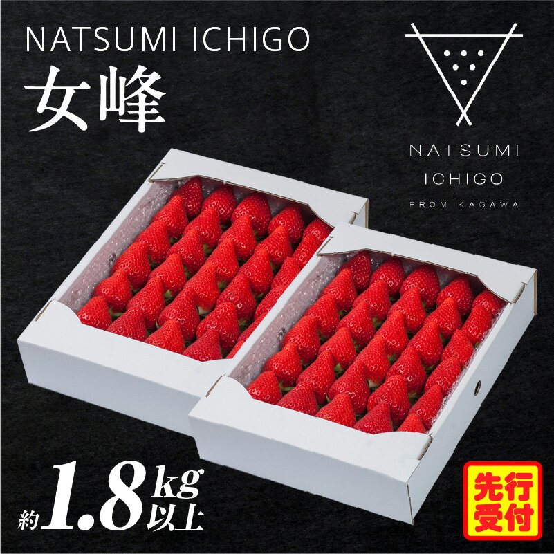 【ふるさと納税】NATSUMI ICHIGO 女峰 約1.8kg以上 （2026年1月～6月配送）いちご ストロベリー 女峰 1kg以上 苺 冷蔵 フルーツ 旬 果物 香川県 デザート 青果物 贈答 プレゼント 贈り物 季節限定 旬 おすすめ