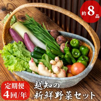 ふるさと納税 越知町 越知産市の季節の野菜セット(年4回発送)　産地直送　旬野菜