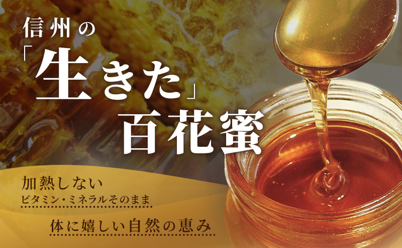 信州日本みつばち 和蜂蜜（600g）