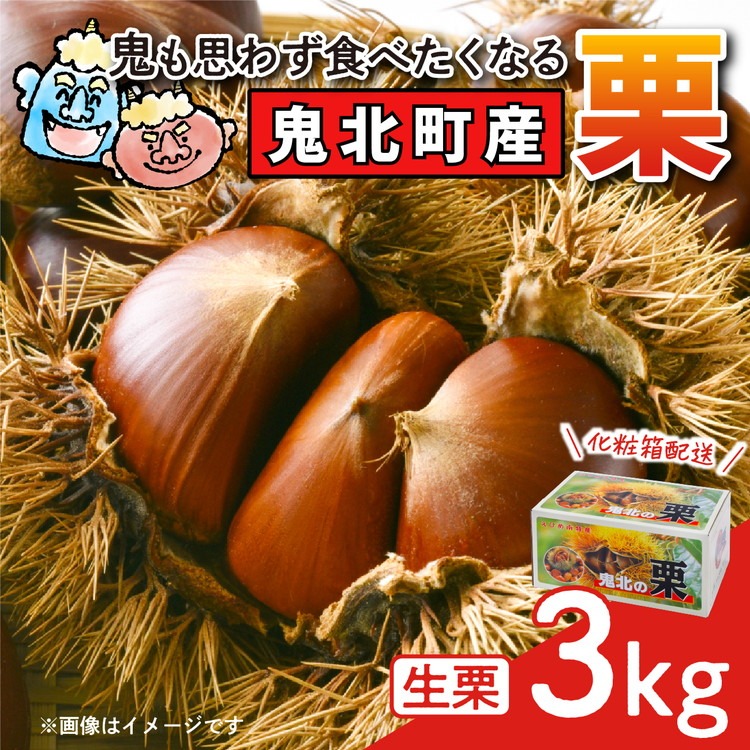 【鬼の栗拾い】鬼北町産くり 約3kg ｜ 大粒 生栗 和栗 国産栗 地域限定 丹波栗 くり 栗 栗ご飯 生栗 果物 フルーツ 先行予約 数量限定 JA えひめ南農業協同組合 ※2026年9月～発送 
