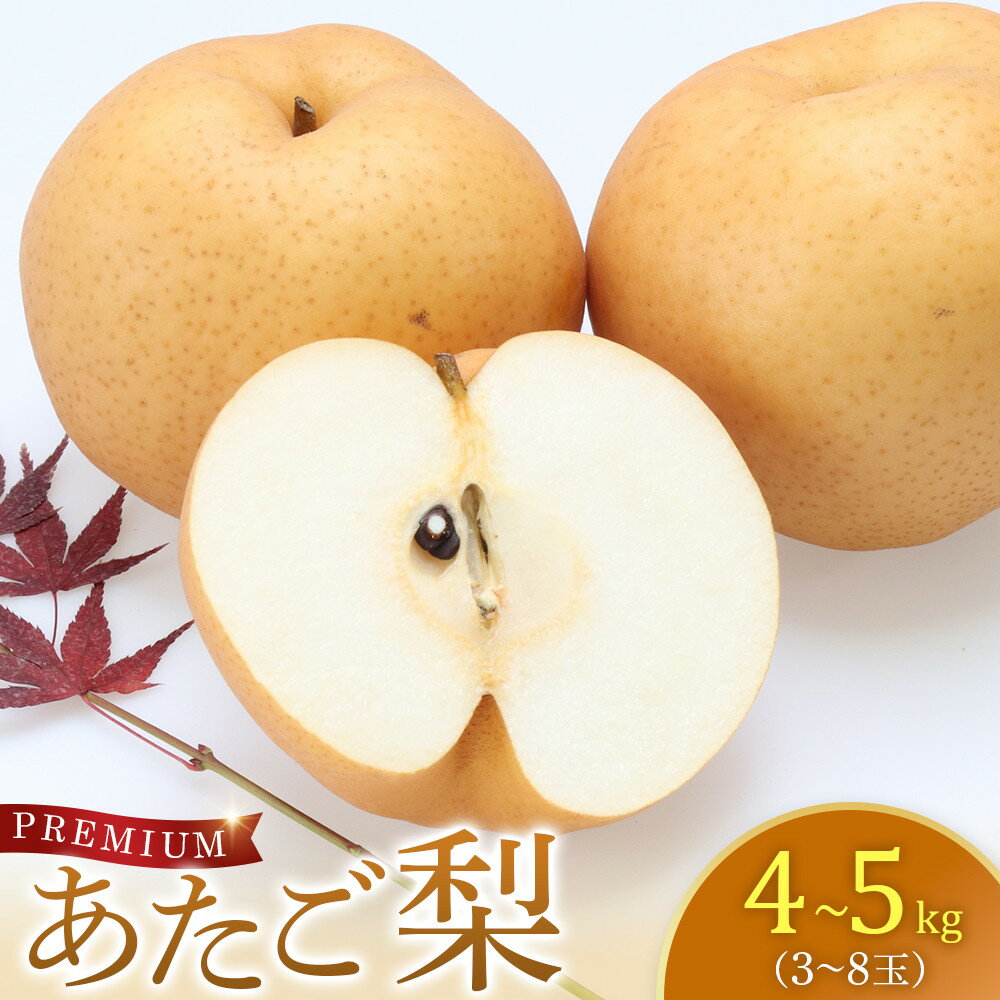【ふるさと納税】304.プレミアム あたご梨4～5kg(3～8玉前後)梨の中でも一番巨大 鳥取県産　≪梨 なし ナシ 果物 フルーツ くだもの 鳥取県北栄町≫　※2025年11月下旬～2026年2月中旬頃に順次発送予定