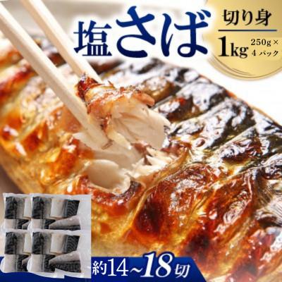 ふるさと納税 小浜市 サバ切身　1kg(250g×4パック)約14〜18切れ