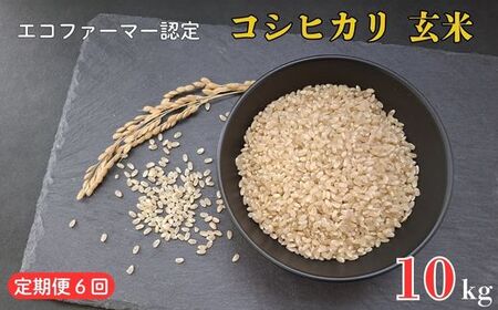《定期便6ヶ月》令和7年産 新米　【エコファーマー認定】 コシヒカリ 玄米 10kg ／ 米 こめ コメ ごはん ご飯 お米 おこめ 玄米 新米 エコファーマー認定 10kg 定期便 令和7年 千葉県 東庄町 産地直送