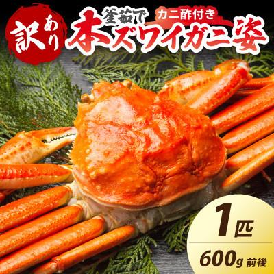 ふるさと納税 京丹後市 【大好評!カニ酢付き】訳あり!釜茹で!本ずわいがに姿 1匹(600g前後)