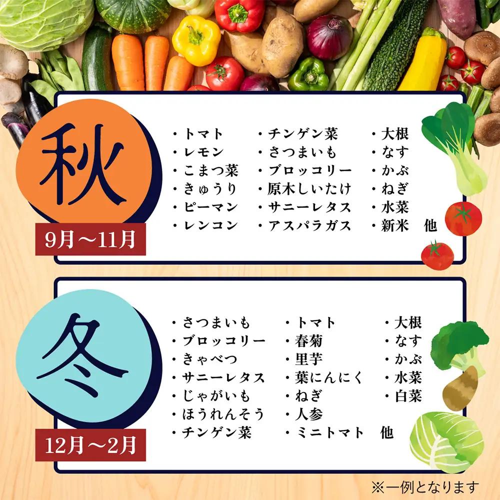 【12ヶ月 定期便】【野菜ソムリエ選定】 肥前の国のお野菜定期便 新鮮 採れたて 野菜 直売所 野菜 8～10品目 野菜定期便 J-14