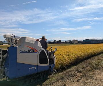 【3回定期便】新米「ひのひかり」玄米15kg 奈良県 三宅町 ヒノヒカリ 志埜米穀店