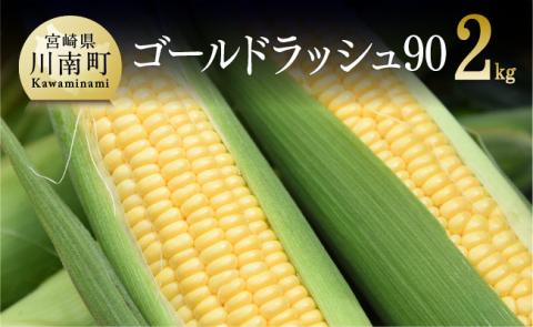 【令和7年発送】政岡さんちのスイートコーン『ゴールドラッシュ90』2kg 【 先行予約 数量限定 期間限定 とうもろこし スイートコーン 2025年発送 先行受付 宮崎県産 九州産 野菜 】 [D06501]