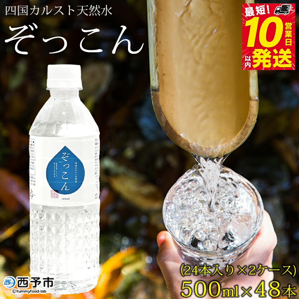 【ふるさと納税】＜四国カルスト天然水ぞっこん 500ml(24本入り)×2ケース 計48本＞ 飲料水 みず 中硬水 弱アルカリイオン水 ペットボトル ウォーター バナジウム 備蓄 防災 非常用 キャンプ アウトドア 国産 ぞっこん四国 愛媛県 西予市【常温】『最短10営業日以内に発送』