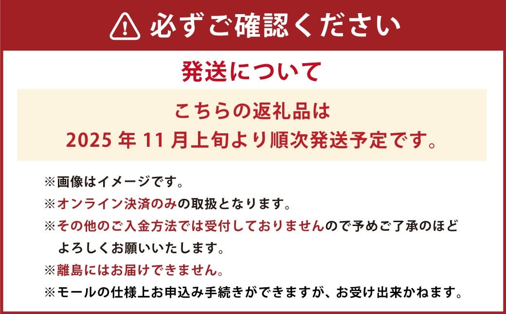 岡山県産 紫苑 1房（約600g）