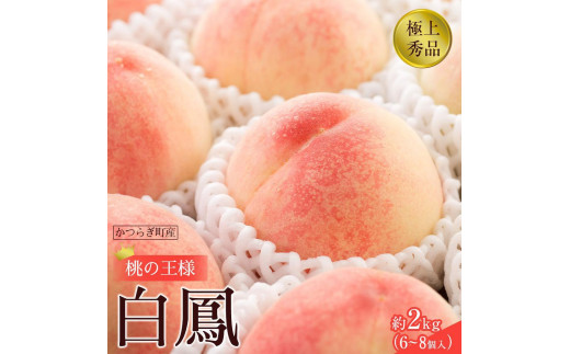 
            先行販売！［モモ］ 白鳳　桃の王様！約2kg6～8個 ［2026年6月下旬頃より順次発送］［秀品］こだわり農家厳選 ［KG12］
          