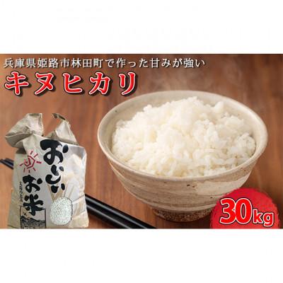 ふるさと納税 姫路市 【令和7年産】　きぬひかり30キロ姫路市産[53650730]