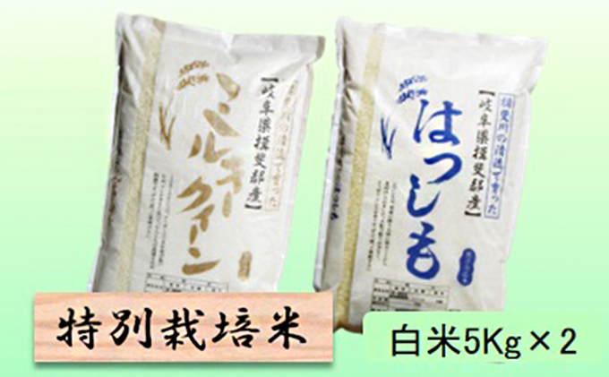 
                  特別栽培米★白米10kg 【ミルキークイーン・ハツシモ】各5Kg [№5644-1338]
                