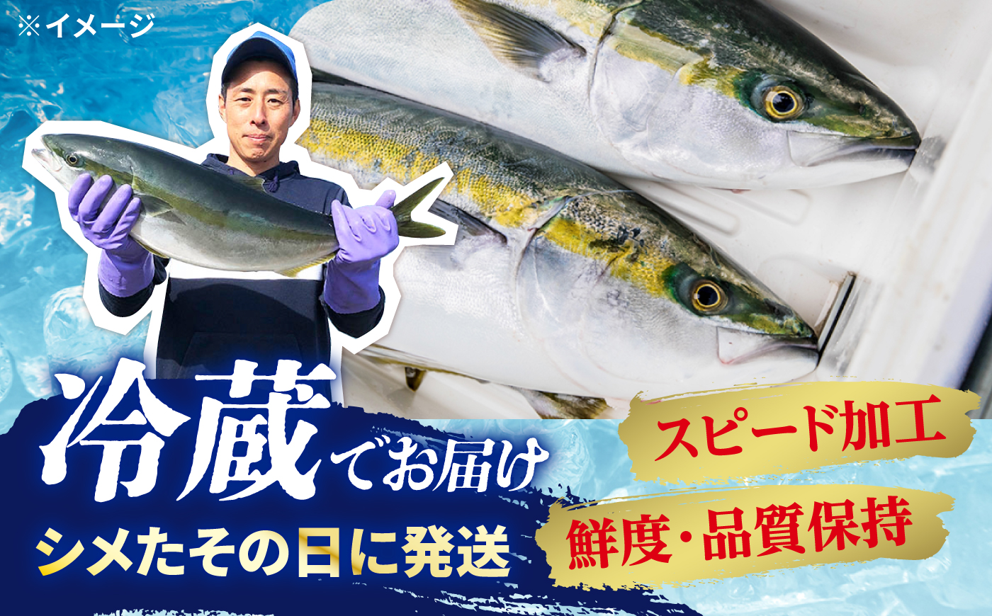 【呼子ノ瀬戸名物】養殖ブリ「光鰤」1本 皮付き 約3kg～＜小山水産＞ [CDZ006]
