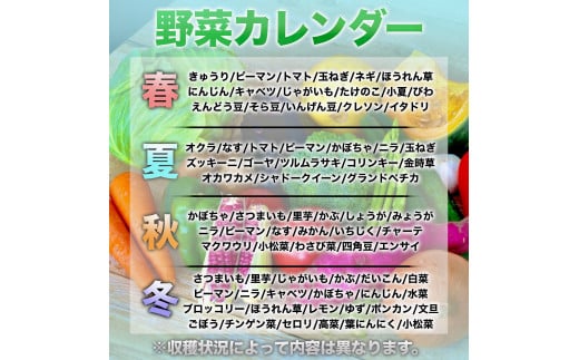 【1年間定期便】 季節の野菜を厳選 お野菜セット (12～13品前後】