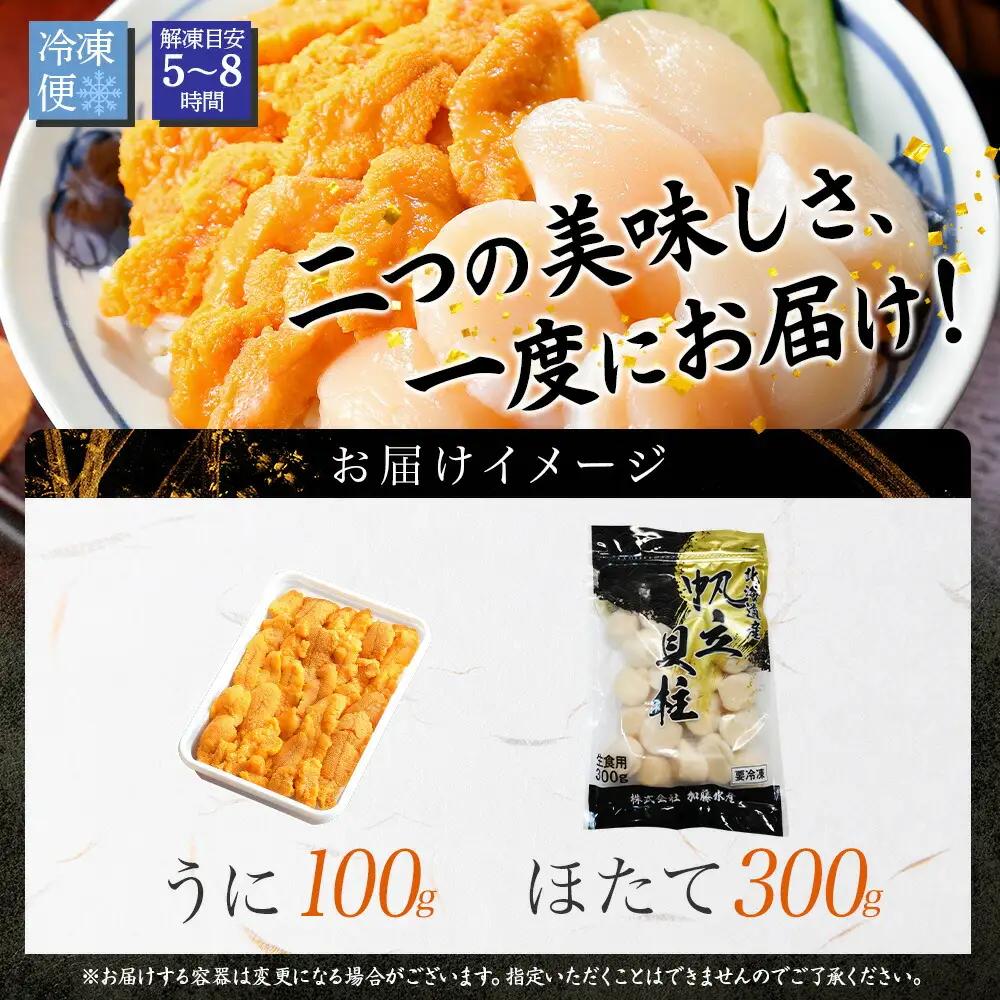 うに チリ産 冷凍 100g ホタテ 300g セット ファミリー ウニ 雲丹 ほたて 生ほたて 帆立 貝柱 貝 冷凍 海鮮 海鮮丼 送料無料 北海道 弟子屈町 3382