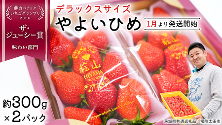 「食べチョクいちごグランプリ2026」味わい部門「ザ・ジューシー賞」受賞 やよいひめ ( 2パック ) 特大 デラックス サイズ 【 2026年1月から発送開始 】 ( 茨城県共通返礼品 : 常陸太田市 )