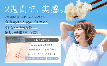 豊橋産スーパーもち麦　定期便 12回（1.8kg×12）