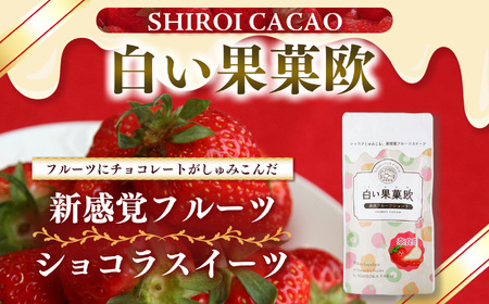 白い果菓欧（３袋） | お菓子 おかし オカシ フルーツ 果物 くだもの いちご イチゴ 苺 ストロベリー 奈良県 五條市 チョコレート スイーツ ギフト オシャレ スイーツ 洋菓子 バレンタイン ホ