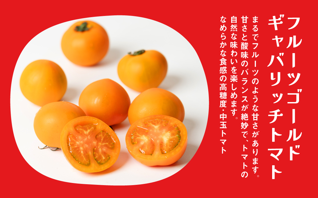 【先行予約】 【定期便5回】 八代市産 農産物おすすめ定期便 宮島農園 ミニトマト トマト パプリカ 野菜 農産物 おすすめ 定期便 熊本県 八代市 【2025年12月上旬より順次発送】