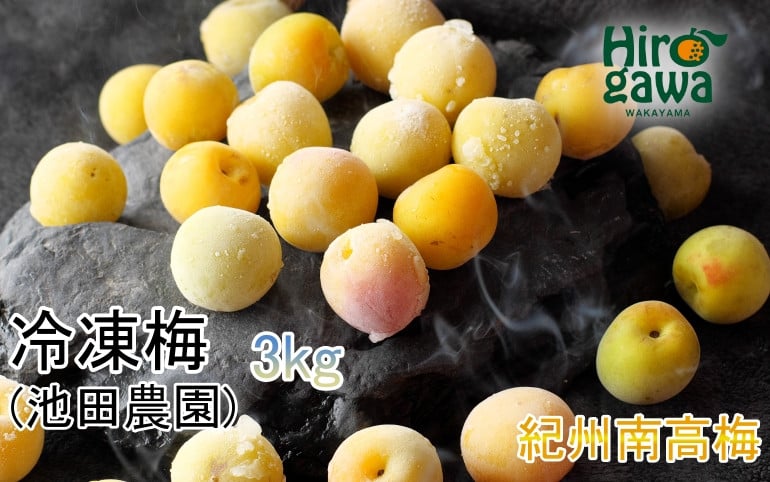 
            冷凍 梅 3kg 家庭用 / 南高梅 訳あり 黄梅 完熟梅 梅ジュース 梅酒 和歌山 ※6月より順次発送 ※北海道・沖縄・離島への配送不可 【ikd510-c-3A】
          