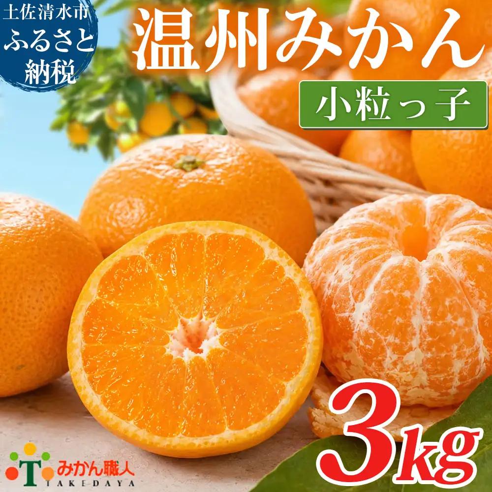 温州みかん 小粒っ子 3kg 傷み補償 300g 柑橘 果物 フルーツ 不揃い オレンジ 訳アリ 蜜柑 果実 みかん 極早生 早生 晩生 光センサー選果 みかん職人武田屋 高知県 土佐清水市【R01790】