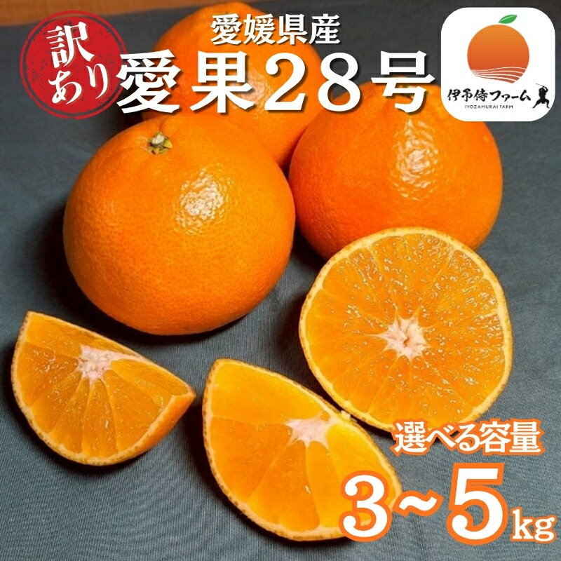 【ふるさと納税】みかん 訳あり 愛果28号 紅まどんなと同一品種 12月から順次発送予定【選べる容量】3～5kg サイズミックス ご家庭用 数量限定 柑橘 愛媛県産 国産 フルーツ 人気 伊予市