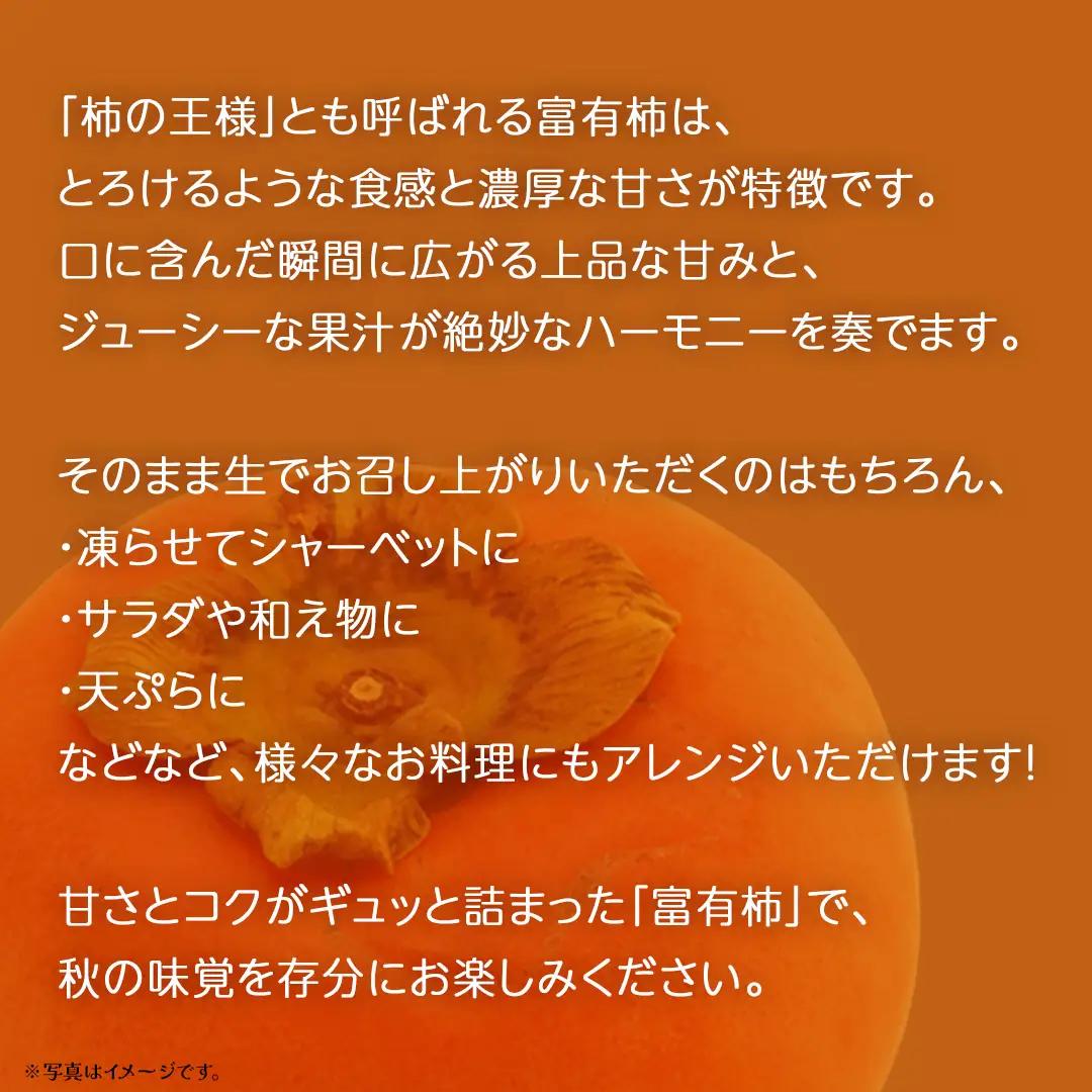 【 訳あり 】 柿 約10kg【2026年10月上旬発送開始】(茨城県共通返礼品：大子町) 柿 かき カキ 果物 フルーツ 旬 季節限定 期間限定