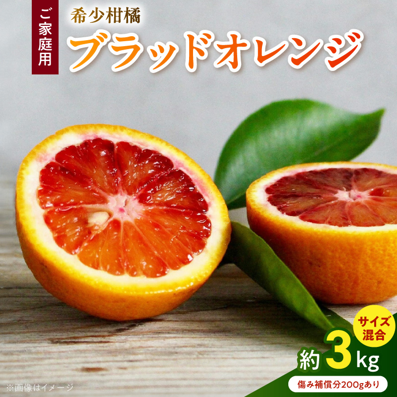 《先行予約・2027年3月発送》希少柑橘 ご家庭用 ブラッドオレンジ　サイズ混合/ご家庭用/3kg(傷み補償200g)　_AB7372_Y