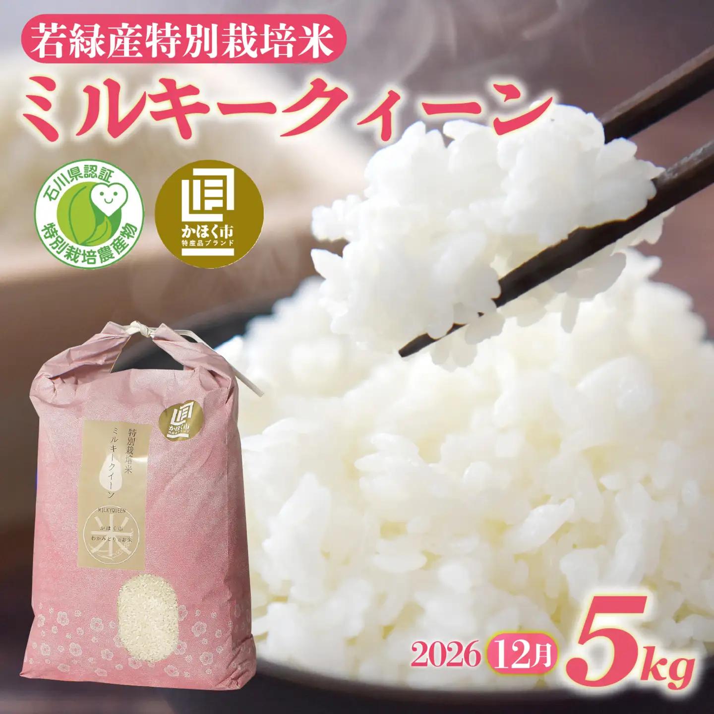 【先行予約】ミルキークイーン 5kg 【2026年12月発送】/ 新米 令和8年産 白米 精米
