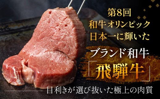飛騨牛 ヒレサイコロステーキ 150g×2パック A5 希少部位 ヒレ肉 牛ヒレ 一口 冷凍 ｜ 飛騨牛 ステーキ 牛肉 ステーキ ステーキ ヒレ ステーキ肉 サイコロステーキ 飛騨牛 A5 飛騨牛 