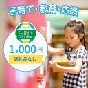 【ふるさと納税】子育て・教育を応援 （返礼品なし） 1000円 寄附のみ申込みの方 056-008